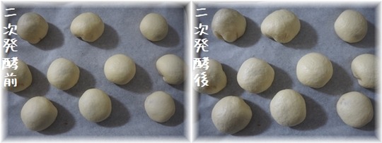P1012335