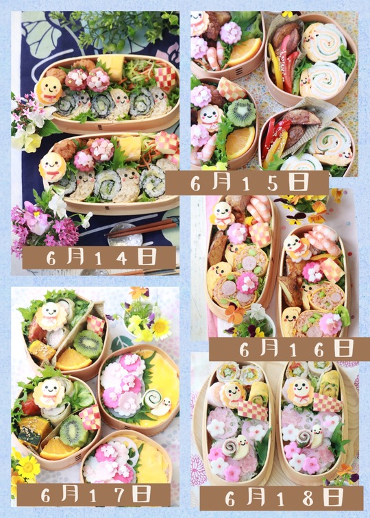 【お弁当】6月14日（月曜日）～18日（金曜日）のお弁当日記。　と　海がめ