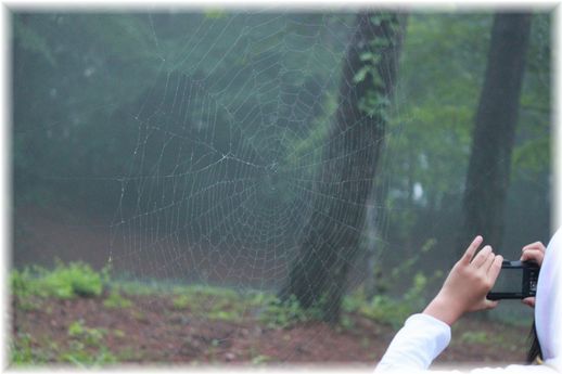 $よめ膳＠YOMEカフェ