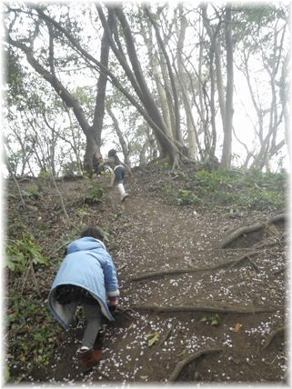 $よめ膳@YOMEカフェ