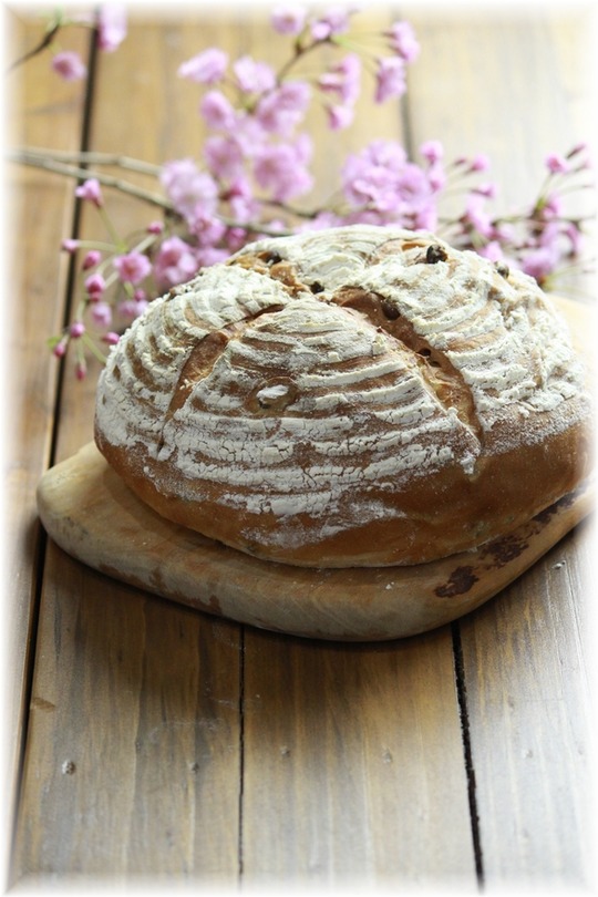 桜と小豆のカンパーニュ。