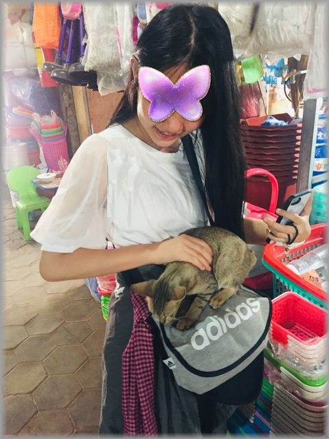 ねこ8