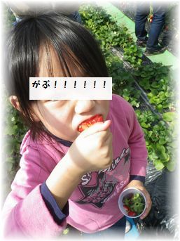 $よめ膳@YOMEカフェ