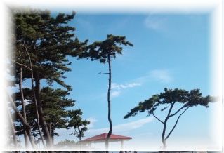 よめ膳＠YOMEカフェ