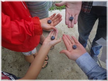 $よめ膳＠YOMEカフェ