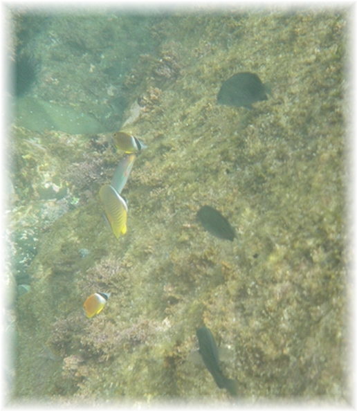 IMGP0034