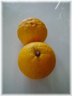 $よめ膳＠YOMEカフェ