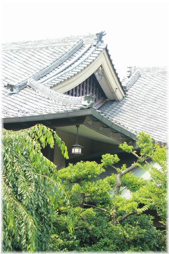 よめ膳@YOMEカフェ