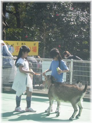 $よめ膳@YOMEカフェ