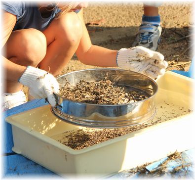 $よめ膳＠YOMEカフェ