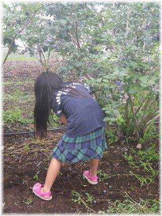 $よめ膳＠YOMEカフェ