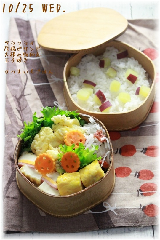 1aaykogIMG_2741