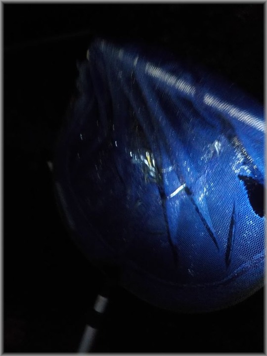 DSCN0553