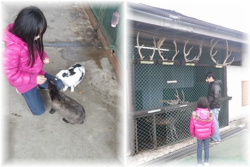 $よめ膳@YOMEカフェ