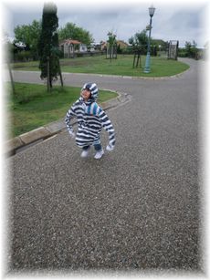 $よめ膳@YOMEカフェ