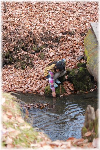 $よめ膳@YOMEカフェ