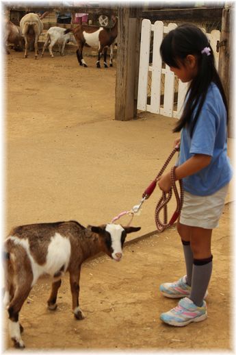 $よめ膳＠YOMEカフェ