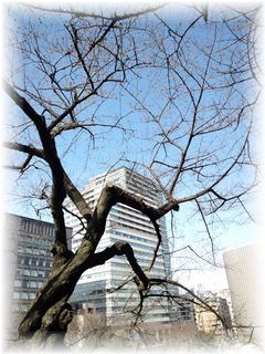 $よめ膳＠YOMEカフェ