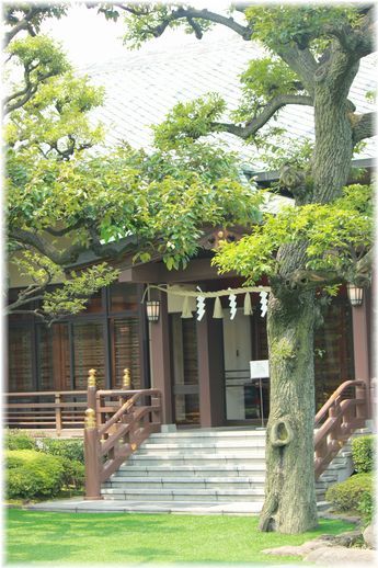 $よめ膳@YOMEカフェ