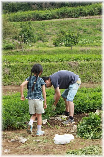 $よめ膳@YOMEカフェ