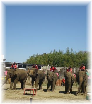 $よめ膳@YOMEカフェ