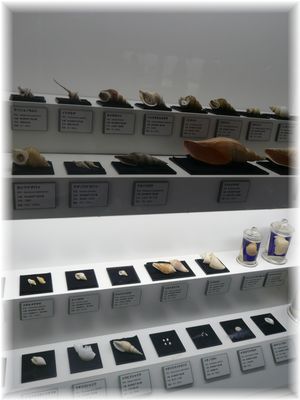 よめ膳@YOMEカフェ