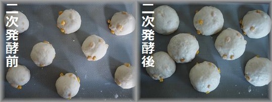 P1011211