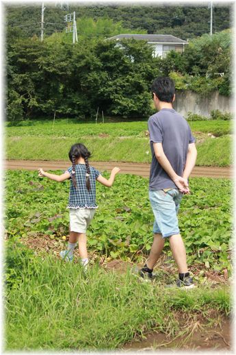 $よめ膳@YOMEカフェ