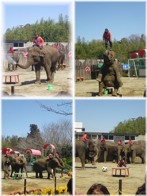 $よめ膳@YOMEカフェ