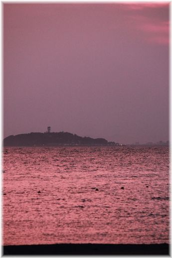 $よめ膳＠YOMEカフェ