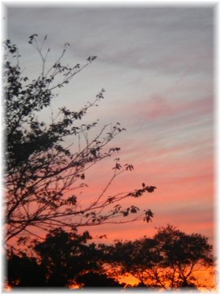 $よめ膳＠YOMEカフェ