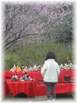 $よめ膳@YOMEカフェ