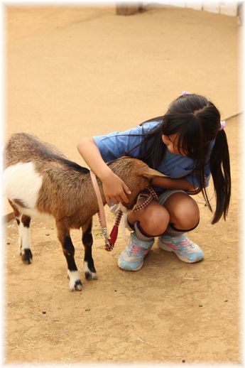 $よめ膳＠YOMEカフェ