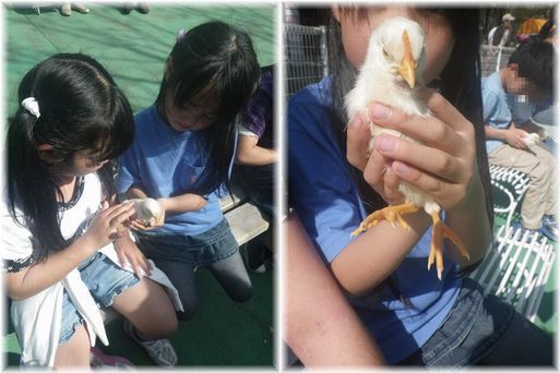 $よめ膳@YOMEカフェ