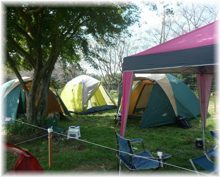 $よめ膳＠YOMEカフェ