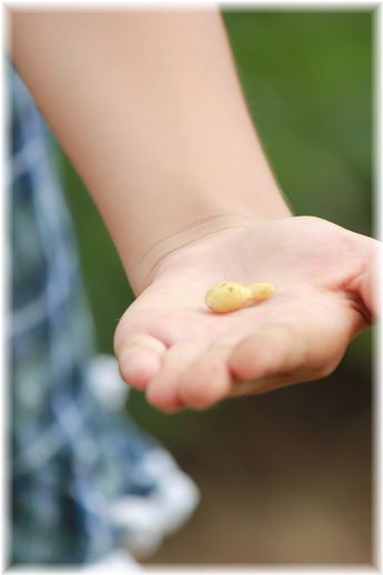 $よめ膳@YOMEカフェ