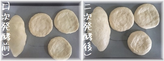 IMG-6188