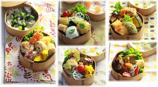 1aaaaaykogIMG_2235
