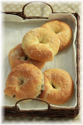 塩大納言ベーグル。