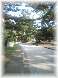 よめ膳＠YOMEカフェ