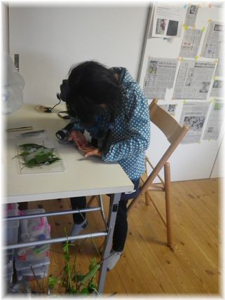 $よめ膳@YOMEカフェ