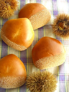 コーヒー風味の栗パン♪と、どうもありがとう。大好きです。