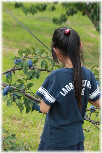 よめ膳@YOMEカフェ