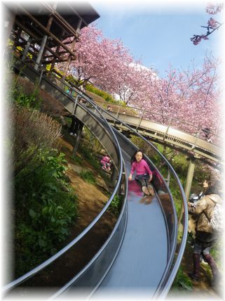 $よめ膳＠YOMEカフェ