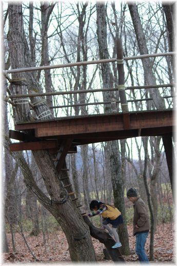 $よめ膳＠YOMEカフェ