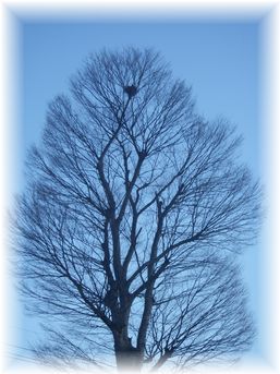 $よめ膳@YOMEカフェ