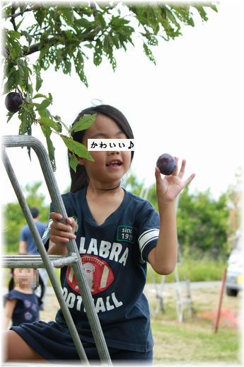 $よめ膳@YOMEカフェ