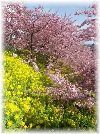 $よめ膳＠YOMEカフェ