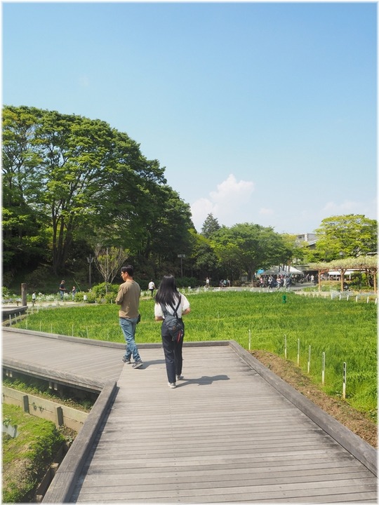 P1015501