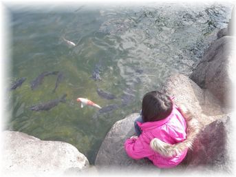 $よめ膳@YOMEカフェ